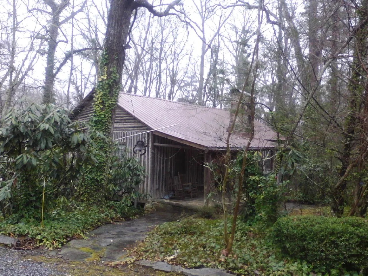 Weathered metal roof on an old board sided cabin in the woods in Huntingtown
